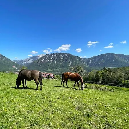 Mariengestuet Am Kreuzberg Apartament Reichenau an der Rax
